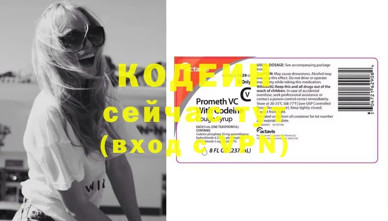 Кодеин Purple Drank  продажа наркотиков  Копейск 